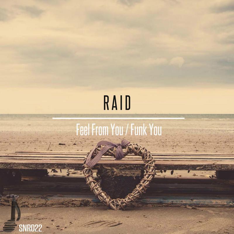 Raid dnb